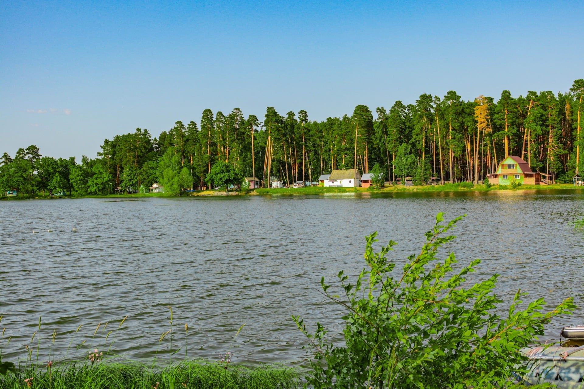 Светлая поляна